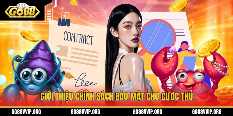 Giới thiệu sơ lược về chính sách miễn trừ trách nhiệm